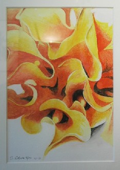 Benoit Graux fontainiaire fleurs plantes amiens